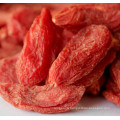 Ningxia Native Dried Goji Berry Wolfberry